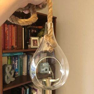 Hanging glass terrarium